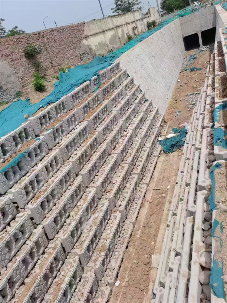 生态框 拱形骨架04