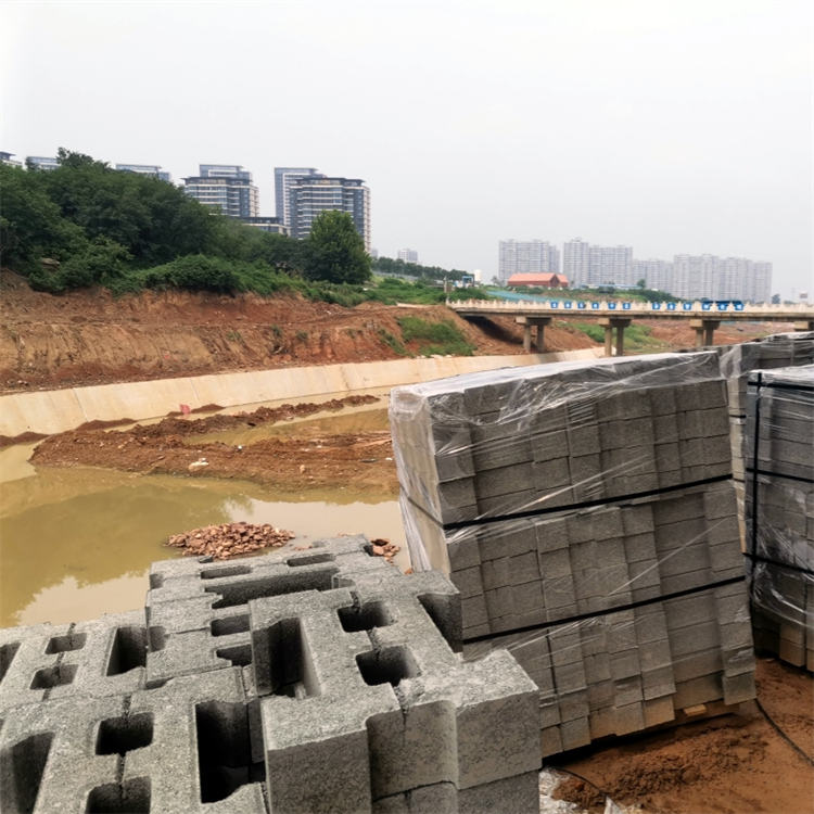 护坡砖03